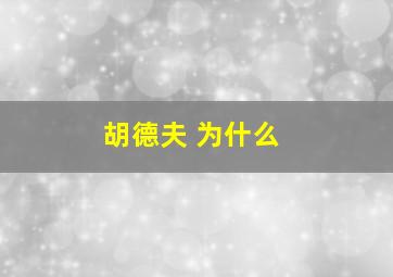 胡德夫 为什么